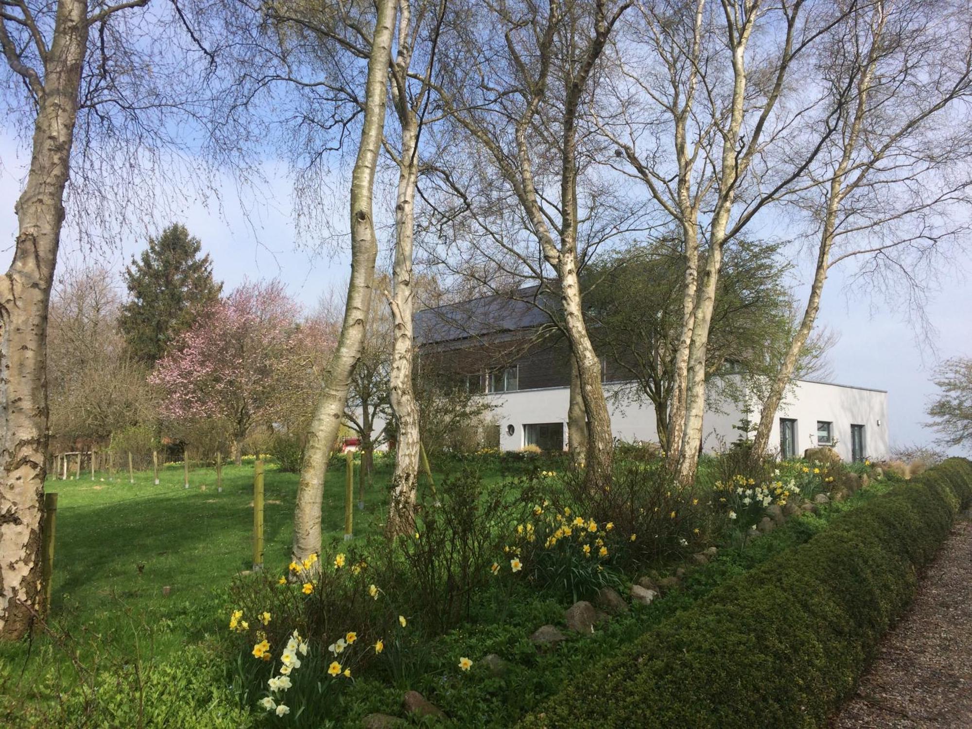 Beltblick Apartment Fehmarn Exterior foto