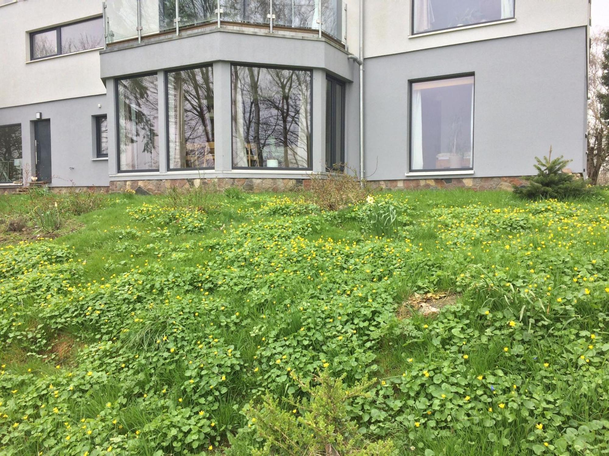 Beltblick Apartment Fehmarn Exterior foto